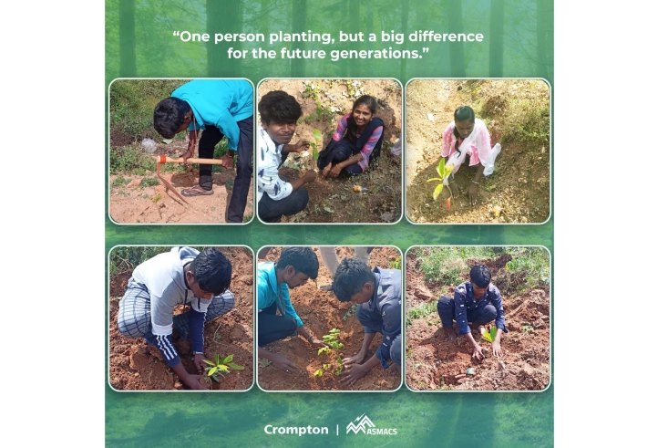 Tree Plantation